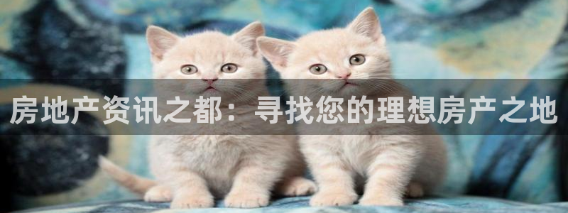和记怡情博娱中国官网