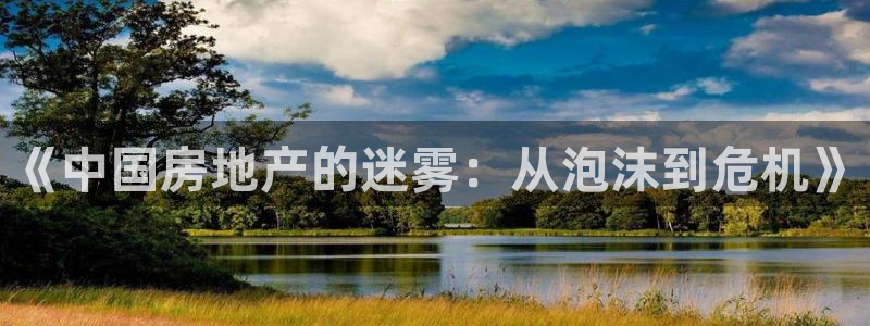 3和记电讯官网：《中国房地产的迷雾：从泡沫到危机》