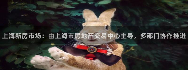 和记体育买球官网：上海新房市场：由上海市房地产交易中心主导，