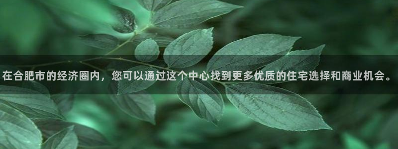 h88和记官网：在合肥市的经济圈内，您可以通过这个中心找到更