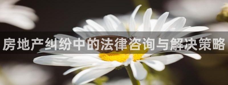 和记大合城dk2官网：房地产纠纷中的法律咨询与解决策略