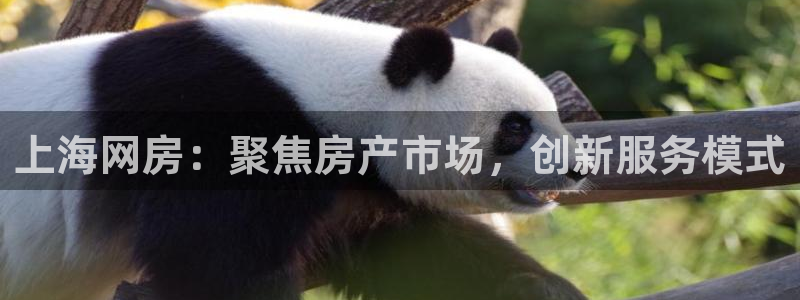 香港3和记官网