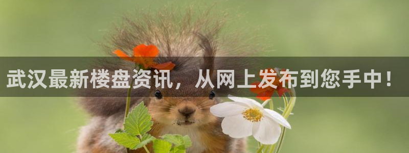 和记万佳官网：武汉最新楼盘资讯，从网上发布到您手中！