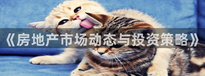 和记备用网官网开户：《房地产市场动态与投资策略》
