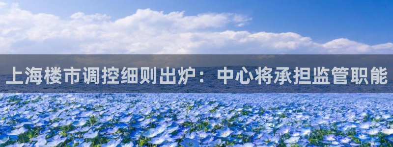 和记娱乐首页官网：上海楼市调控细则出炉：中心将承担监管职能
