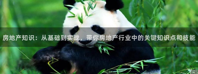 和记体育买球官网：房地产知识：从基础到实战，带你房地产行业中