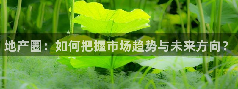 成都和记黄埔地产官网：地产圈：如何把握市场趋势与未来方向？