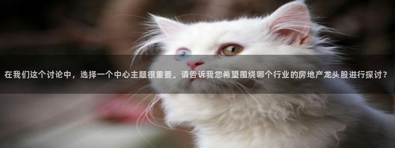 和记h1888怡情官网：在我们这个讨论中，选择一个中心主题很