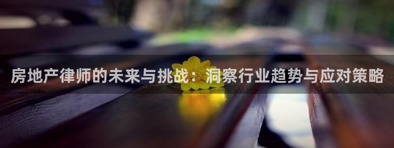 和记黄埔m 官网：房地产律师的未来与挑战：洞察行业趋势与应对