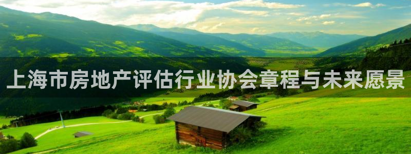 胡和记官网：上海市房地产评估行业协会章程与未来愿景