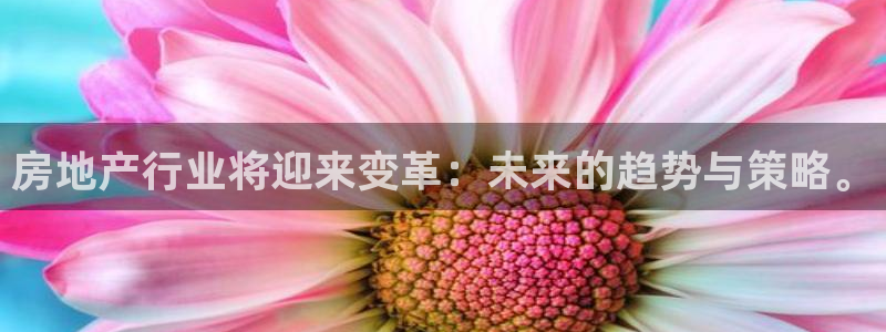 和生记官网：房地产行业将迎来变革：未来的趋势与策略。