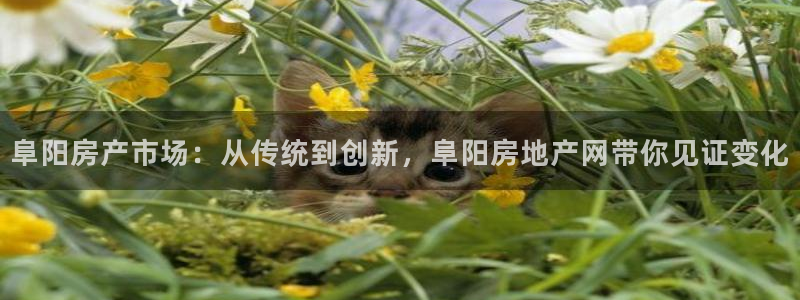 和记官网亚洲唯一官网：阜阳房产市场：从传统到创新，阜阳房地产