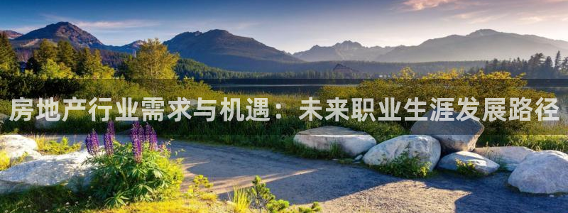和记娱实惠h88285官网：房地产行业需求与机遇：未来职业生