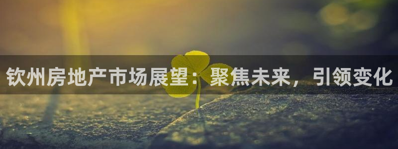 和记h88永久官网：钦州房地产市场展望：聚焦未来，引领变化
