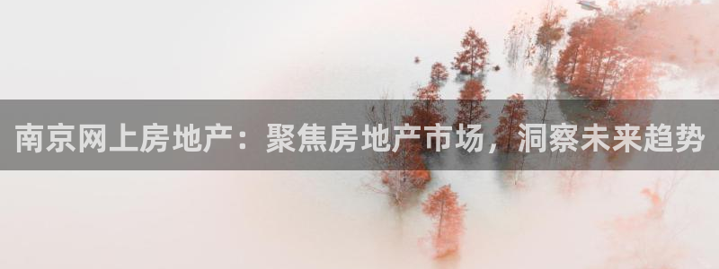 郑州和记酒业官网：南京网上房地产：聚焦房地产市场，洞察未来趋
