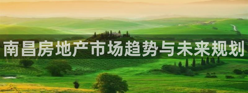 小金库钱包app下载官网和记：南昌房地产市场趋势与未来规划
