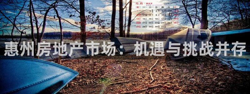 小金库钱包app下载官网和记：惠州房地产市场：机遇与挑战并存