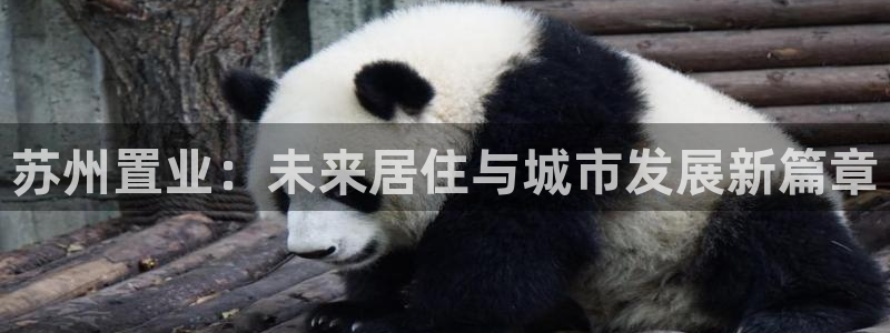 和记3官网：苏州置业：未来居住与城市发展新篇章