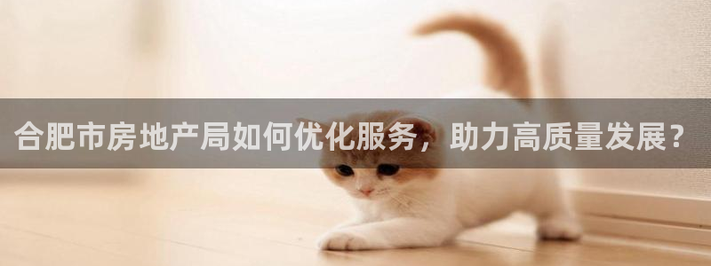 和记官网加盟：合肥市房地产局如何优化服务，助力高质量发展？