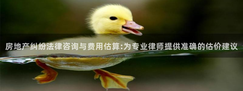 和记娱的确好h88285官网：房地产纠纷法律咨询与费用估算: