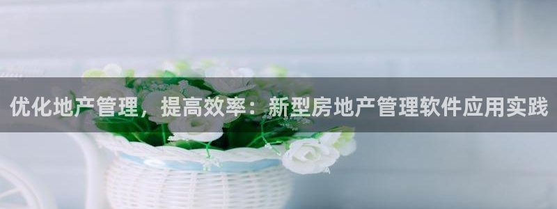 和记旗舰官网：优化地产管理，提高效率：新型房地产管理软件应用