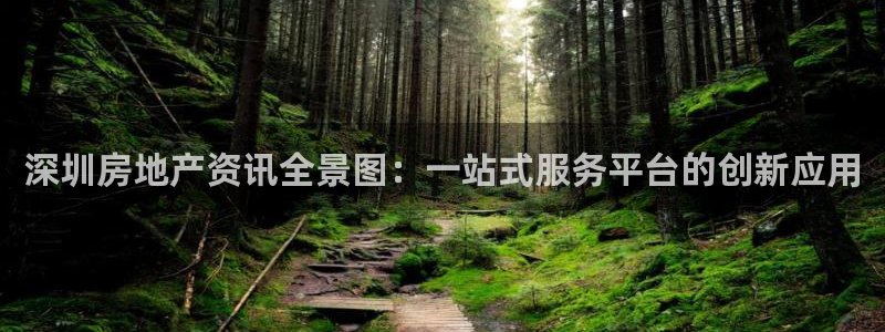 和记旗舰官网：深圳房地产资讯全景图：一站式服务平台的创新应用