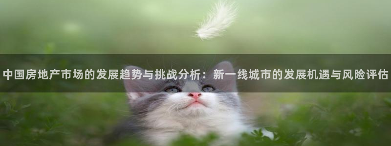 和记黄埔公司官网：中国房地产市场的发展趋势与挑战分析：新一线