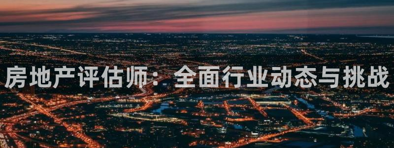 和记怡情官网电话：房地产评估师：全面行业动态与挑战