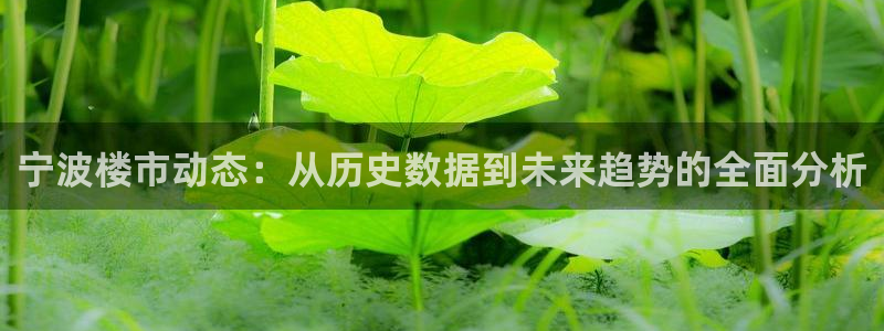 和记官网手机版：宁波楼市动态：从历史数据到未来趋势的全面分析