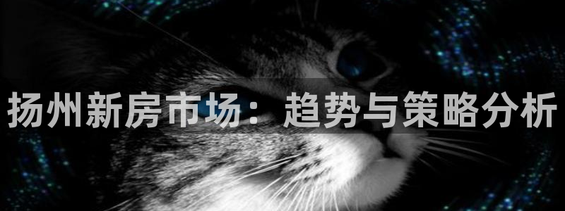 香港和记电讯官网：扬州新房市场：趋势与策略分析