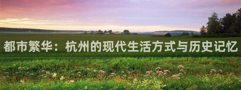 和记国际官网首页：都市繁华：杭州的现代生活方式与历史记忆