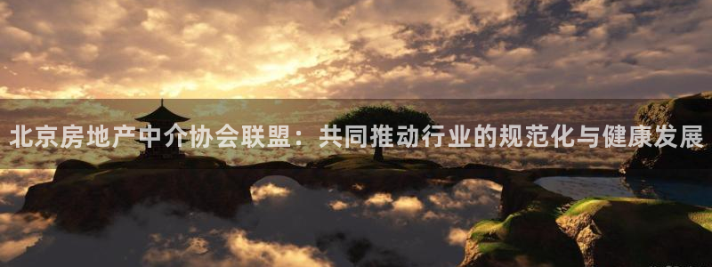 和记国际官网首页：北京房地产中介协会联盟：共同推动行业的规范