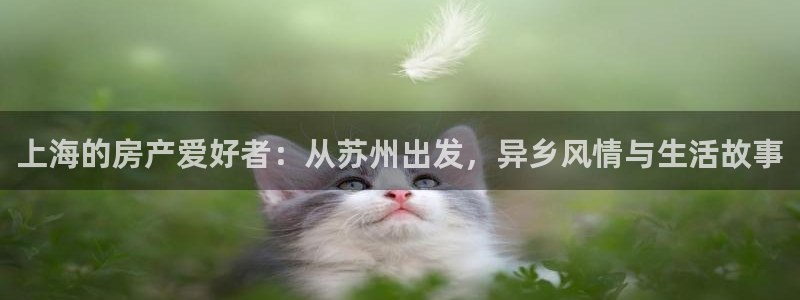 和木记手帕官网：上海的房产爱好者：从苏州出发，异乡风情与生活