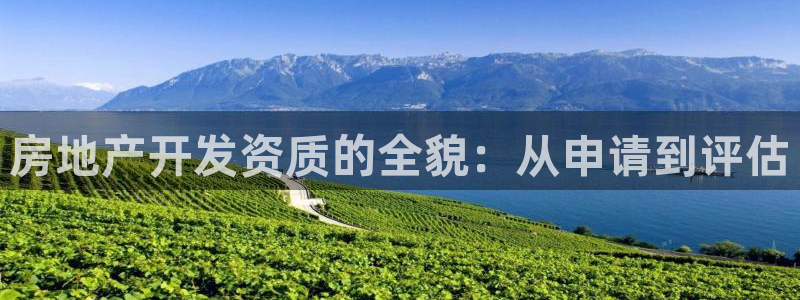 和记娱乐怡情博官网：房地产开发资质的全貌：从申请到评估