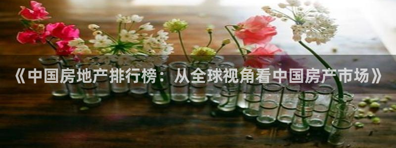 和记官网手机版下载：《中国房地产排行榜：从全球视角看中国房产