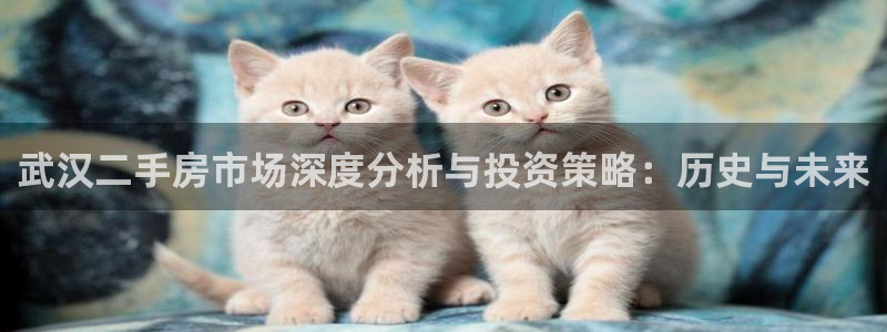 和记手机客户端官网：武汉二手房市场深度分析与投资策略：历史与