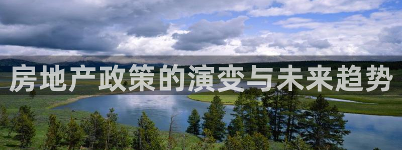 和记国际有限公司官网：房地产政策的演变与未来趋势