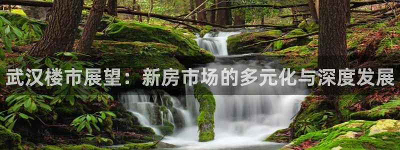 上海和记黄埔官网：武汉楼市展望：新房市场的多元化与深度发展