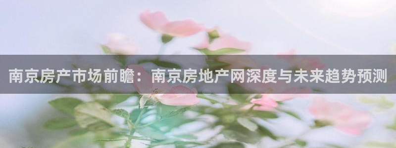 和记娱乐平台官网：南京房产市场前瞻：南京房地产网深度与未来趋