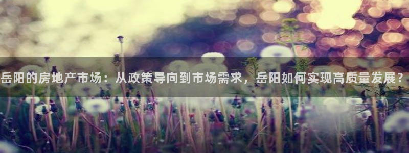 和记怡情h88官网：岳阳的房地产市场：从政策导向到市场需求，