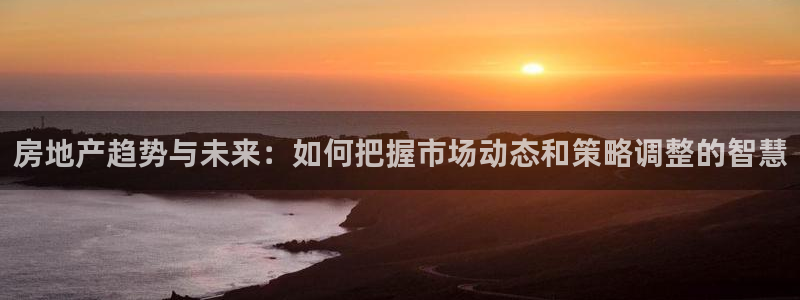 下载和记官网：房地产趋势与未来：如何把握市场动态和策略调整的