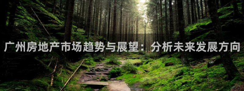 香港和记3官网：广州房地产市场趋势与展望：分析未来发展方向