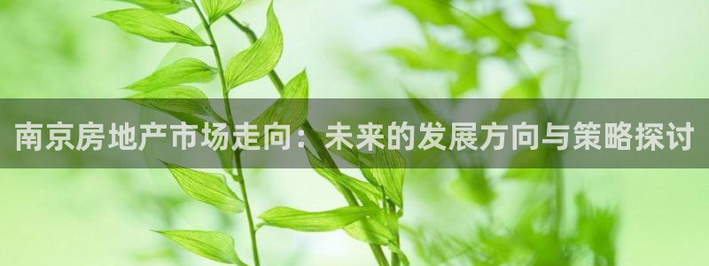 和记官网手机：南京房地产市场走向：未来的发展方向与策略探讨