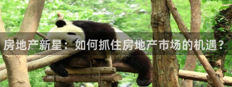 和记网开户官网：房地产新星：如何抓住房地产市场的机遇？