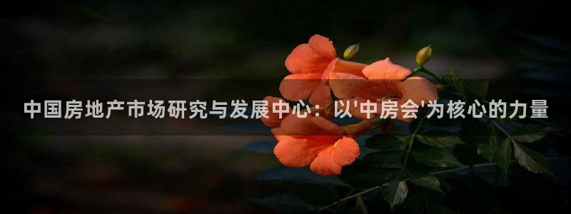 和记电讯three官网：中国房地产市场研究与发展中心：以\'