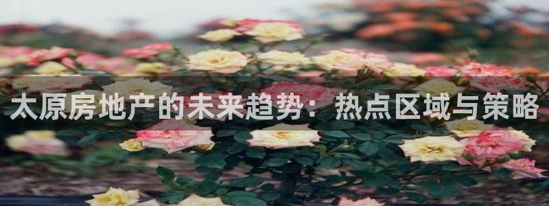 长江和记有限公司 官网：太原房地产的未来趋势：热点区域与策略