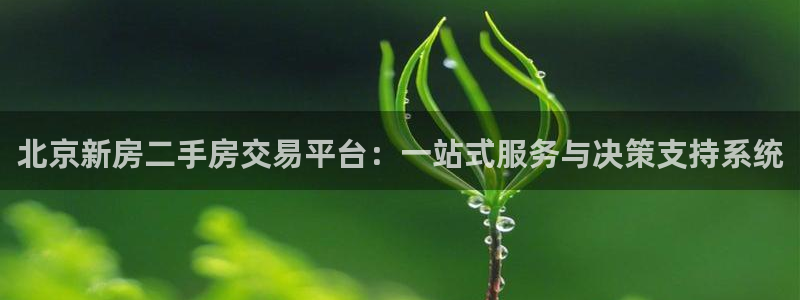 和记电讯APP官网充值：北京新房二手房交易平台：一站式服务与