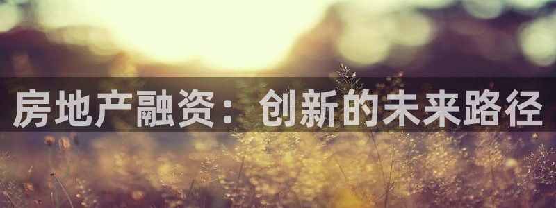 和记官网亚洲唯一官网：房地产融资：创新的未来路径