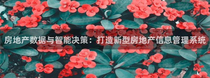 和记奥普泰 官网：房地产数据与智能决策：打造新型房地产信息管