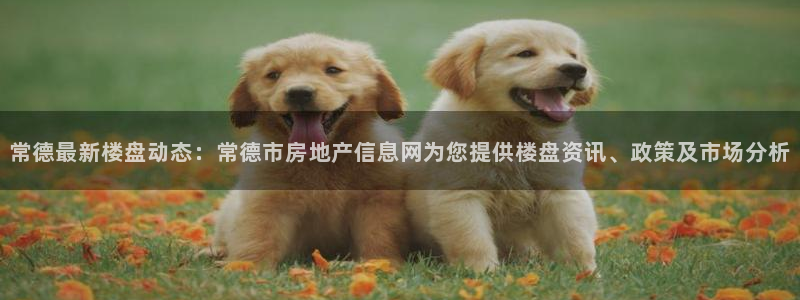 长江和记有限公司官网：常德最新楼盘动态：常德市房地产信息网为